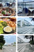 KBC Garden Apartment Trsat - B&B Rijeka