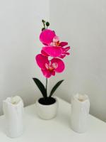 Casa Kraljevo - B&B Kraljevo