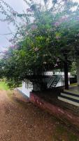Mountain View Resort - B&B Ramakkalmedu