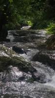 Private 3BHK Villa near Munnar, Bisonvalley - Ferienwohnung Devikolam