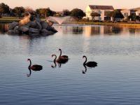 Langebaan Country Estate - Bed and Breakfast Langebaan