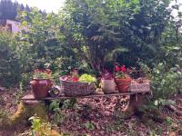 un ptit chalet - B&B Les Brenets