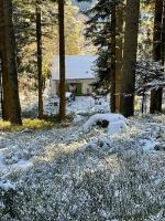 Goldregen - Mitten im Wald, Ruhe und Komfort, Holzofen - Ferienwohnung Forbach