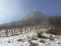 Appartamento con Vista Montagna