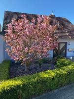 Ferienwohnung "Zum Sternenhimmel" - Bed and Breakfast Bad Wildungen