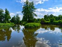 Ranczo nad Czarną Nidą - Chambres d'hôtes Bieleckie Młyny