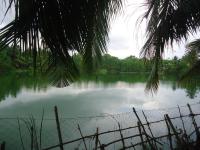 Lake view cabana Paradise & Villa - B&B