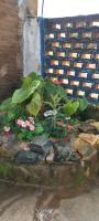 Contos de Alice - B&B Tiradentes