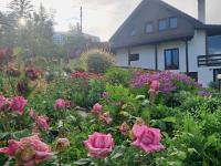 Green Valley Guesthouse - B&B Izvoru Mureșului