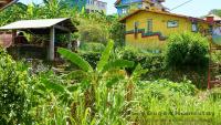 Baey Bōgan Homestay - Ferienwohnung Sagada