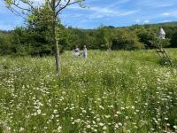 Scenic Cabin Set In 10 Acres Of A Nature Park - B&B Bath