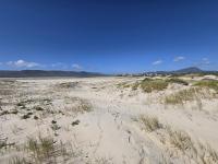Milkwood Cabin - B&B Fisherhaven