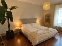 Stylish old building - Parking - 16 minutes to Zurich - B&B Baden