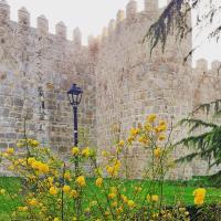 Higos y uvas - Ferienwohnung Tornadizos de Ávila