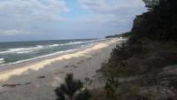 Küstenvilla stilvolle 3Zi FerienWhg mit Terrasse ruhig zentral strandnah 600m - B&B Ostseebad Zinnowitz