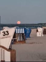 Küstenvilla stilvolle 3Zi FerienWhg mit Terrasse ruhig zentral strandnah 600m - B&B Ostseebad Zinnowitz