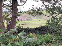 Stony Thwaite - B&B Reeth