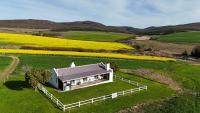 Landmeterskop - B&B Stanford