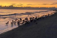 Beach Downtown-Family & Pet Friendly-Balcony & Garage-10 Acre Park with Pickleball, Tennis & Basketball-Lido Beach-Opera-Symphony-St Armands Circle - Chambres d'hôtes Sarasota