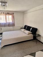 Downtown apartment - B&B Niš