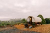 Unique Covered Wagon Tiny Home - Fire Pit - Grill - Stargazing - Sunrises - Glamping - B&B Hustontown