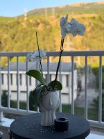 Lychnidos Comfort Apartment - Bed and Breakfast Ohrid