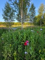 Stockboden Kvarken Off Grid Cabin No Electricity or Running Water - B&B Oravais