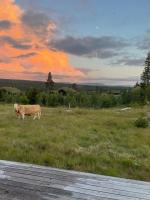 Modern cabin with a Mountain View - Bed and Breakfast Nos