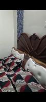 Honey home stay - B&B Yercaud
