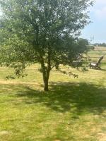 Astwell Mill Private accommodation near Silverstone - Chambres d'hôtes Helmdon