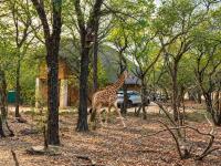 Sounds of Kruger Safari Villa - B&B Marloth Park