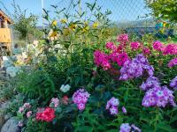 U Stenia - B&B Murzasichle