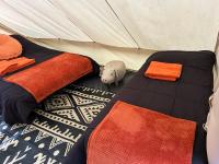 Medway wharf marina fox and canvas - Chambres d'hôtes Wateringbury