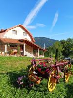 Vila Vali - Bed and Breakfast Şuncuiuş