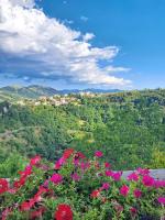 La tana dell'orso, nel cuore di Campoli Appennino - B&B Campoli Appennino