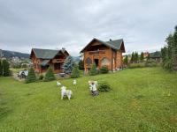 Villa - Ferienwohnung Schidnyzja