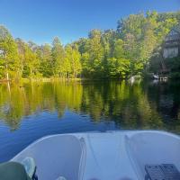 Guest Favorite The Bears Den Pets Welcome 420 Friendly Location - B&B Gatlinburg