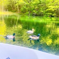 Guest Favorite The Bears Den Pets Welcome 420 Friendly Location - B&B Gatlinburg