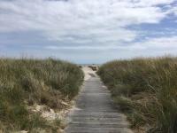 Meerblick pur – Wohnung Strandhafer am Südstrand - Ferienwohnung Fehmarn