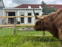 Star Gazer Cabin - Bed and Breakfast Inversnaid