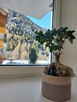 Appartamento ZUFALL - B&B Cogolo