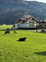 Fewo Bachler - B&B Kirchdorf