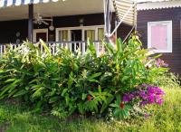 Charmant bungalow à Bouillante avec vue sur la mer - Ferienwohnung Village