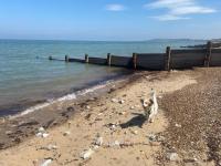 Seaview Holiday Rentals - Delta Wadhurst Pet Friendly - B&B Chestfield
