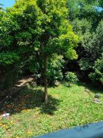 Apartment Tramontana - Bed and Breakfast Dobrota
