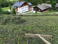 Ciasa Lovara - Bed and Breakfast Le Fiere