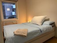 Cozy and centrally located apartment with a sunny balcony - B&B Oslo