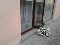 Apartments near old town with private parking - B&B Kaunas