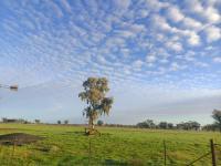Dubbo Farm - B&B Dubbo