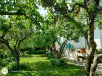 Casa Albinelor - Terasă - Apartament 2-6 persoane - B&B Braşov